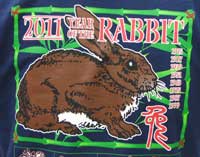 Year of the Rabbit